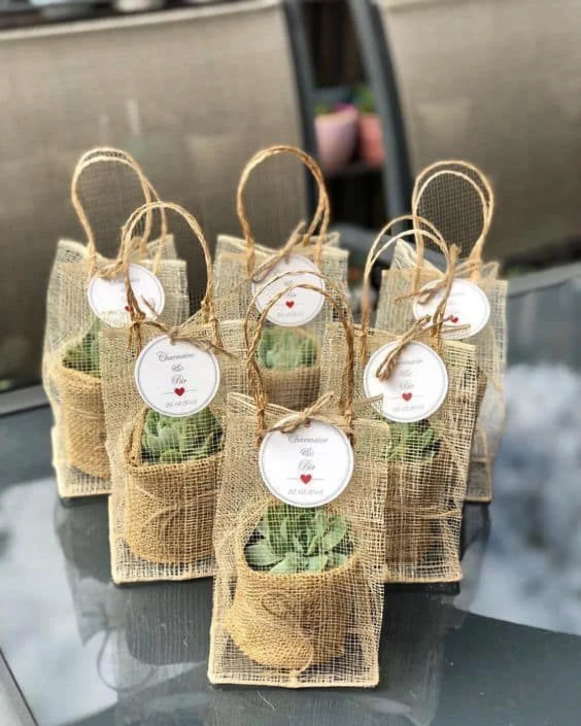Succulent plants in burlap sacks decorated with twine and white heart tags.